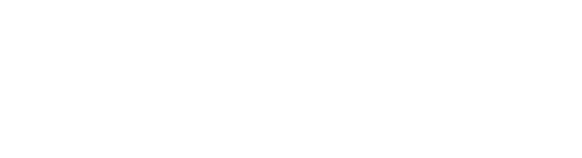 Left Brain Investing & Insurance